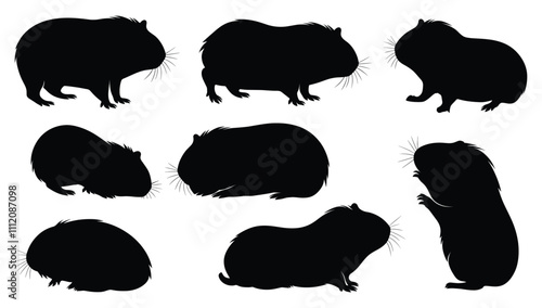 Vector Silhouettes of Guinea Pigs in Various Poses