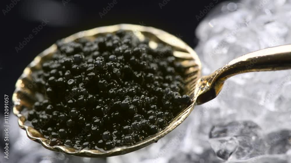 Black Caviar in golden spoon. High quality natural sturgeon black caviar close-up. Delicatessen. Texture of expensive luxury caviar on ice on black background Black Caviar in golden spoon. High quality natural sturgeon black caviar close-up. Delicatessen. Texture of expensive luxury caviar on ice on black background