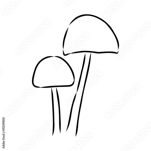 Toadstools, , vector illustrations. Sketch style, toadstool mushroom, vector