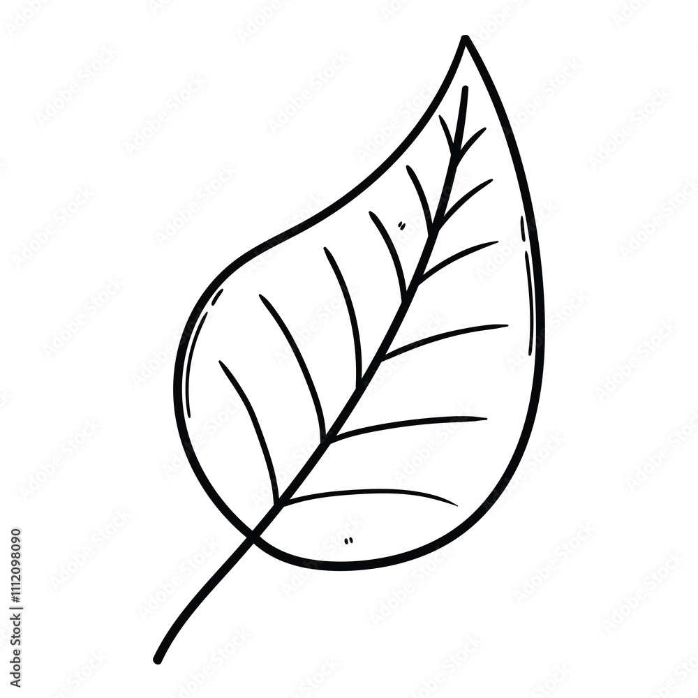 Hand drawn doodle leaf on a white background. Hand drawn doodle leaf on a white background.