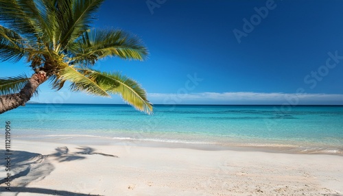 Beautiful tropical beach with palm trees, sunset beach seascape, design template for travel banner.