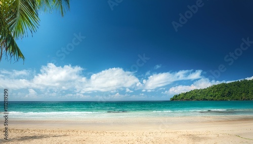 Beautiful tropical beach with palm trees  sunset beach seascape  design template for travel banner.