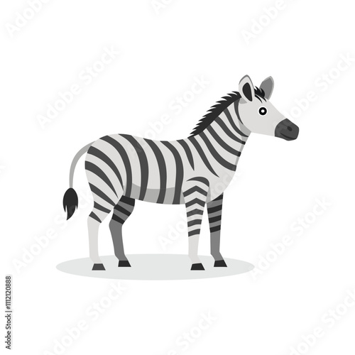 Zebra animal isolated flat vector illustration on white background