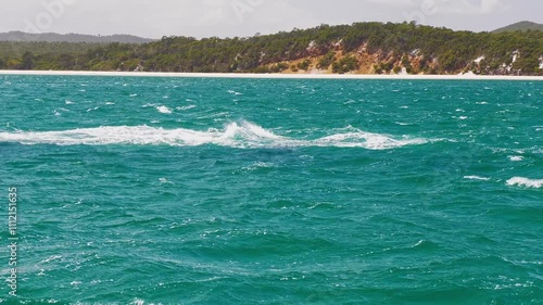 4K video, Humpback whale tail on ocean water surface, Hervey Bay K'gari Fraser Island, Queensland Australia	