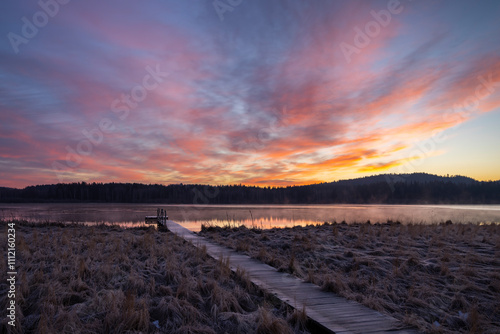 nature reserve Olsina, Sumava National Park, Czech Republic