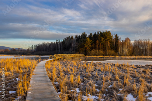 nature reserve Olsina, Sumava National Park, Czech Republic photo