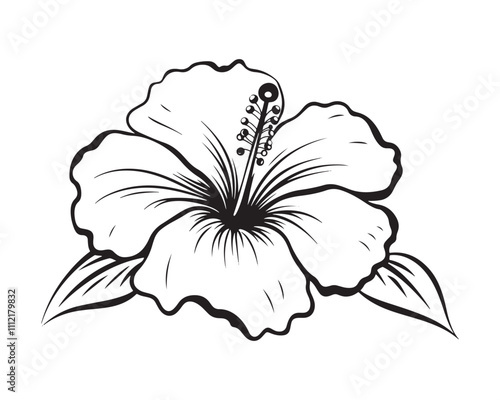 Hibiscus flower line art vector outline illustration