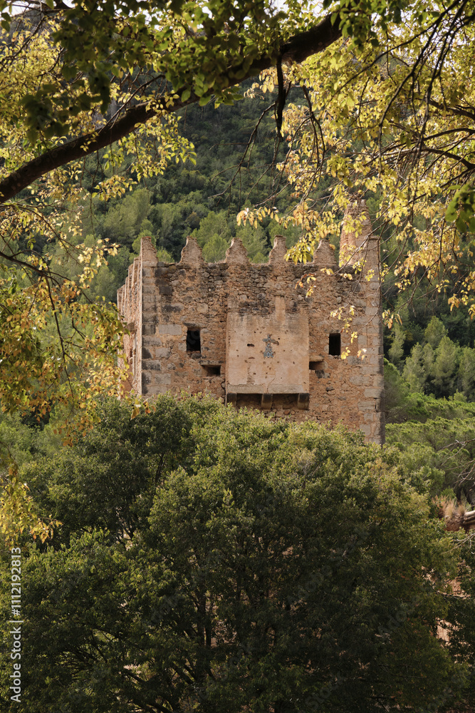 an ancient castle on the background of a forest an ancient castle on the background of a forest