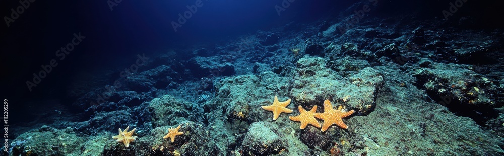 Underwater Scene Featuring Vibrant Orange Starfish on Rocky Ocean Floor Surrounded by Deep Blue Water, Capturing the Beauty of Marine Life in Natural Habitat Underwater Scene Featuring Vibrant Orange Starfish on Rocky Ocean Floor Surrounded by Deep Blue Water, Capturing the Beauty of Marine Life in Natural Habitat