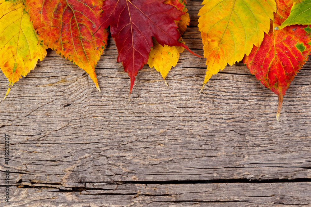 Autumn leaves on a wooden background. Wooden autumn leaves on a wooden background. Autumn leaves wooden background colored lies. Wooden leaves lying on a wooden lifestyle background in autumn. Autumn leaves on a wooden background. Wooden autumn leaves on a wooden background. Autumn leaves wooden background colored lies. Wooden leaves lying on a wooden lifestyle background in autumn.