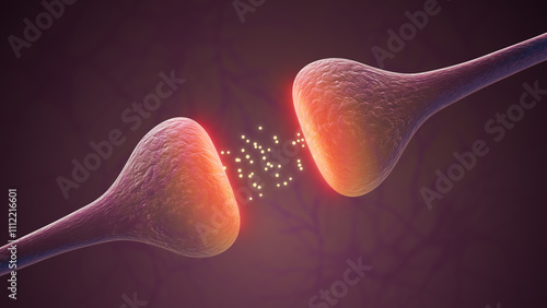 Active Synaptic Signals Strengthening Neural Pathways