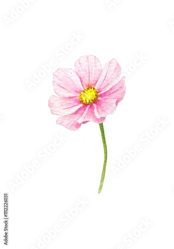 Watercolor image of a single flower with delicate pink petals and a yellow center on a green stem. Ideal for cards, design and decorative use.