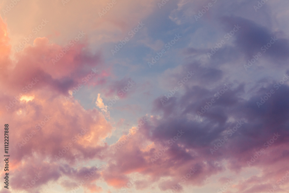 Obraz premium Rosa Wolken