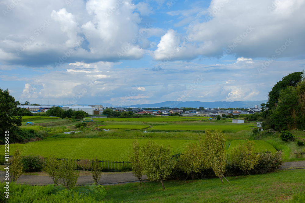 Fototapeta premium 奈良県広陵町の田園風景