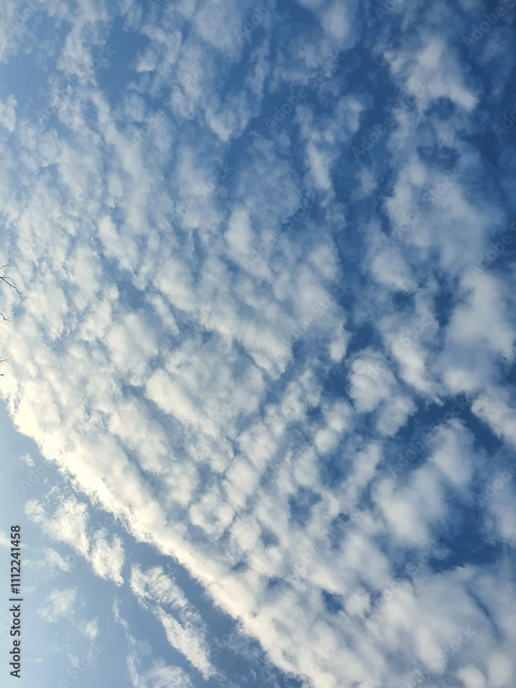 Fototapeta premium Blue sky white clouds for background image