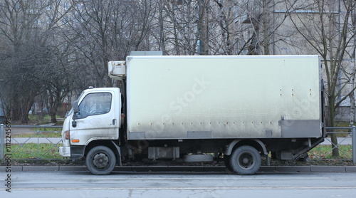 A small white refrigerated truck is parked on the side of the road, Iskrovsky Prospect, St. Petersburg, Russia, December 02, 2024 