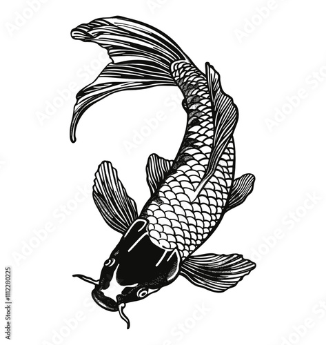koi fish carp engraving black and white outline
