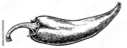 chili engraving black and white outline