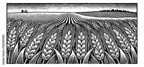 wheat field landscape engraving black and white outline