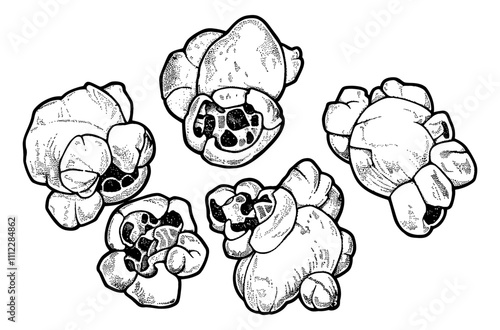 popcorn engraving black and white outline