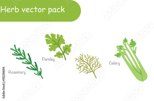 Herb vector pack set 