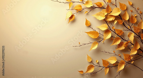 autumn leaves background