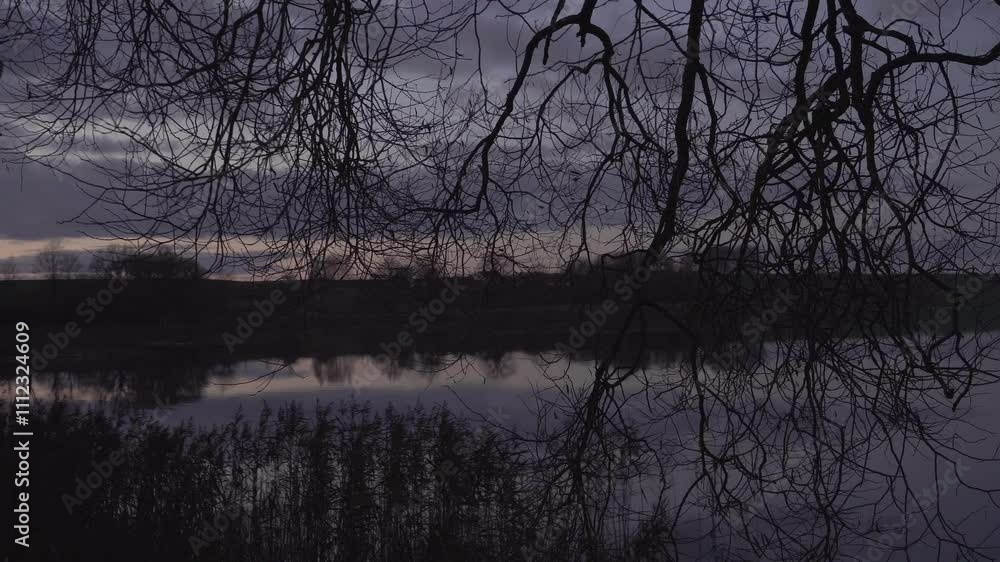 A tranquil twilight panorama features intricate bare tree branches silhouetted against a dimly lit sky. A calm lake reflects the muted colors of the evening, and the horizon shows a faint sundown glow A tranquil twilight panorama features intricate bare tree branches silhouetted against a dimly lit sky. A calm lake reflects the muted colors of the evening, and the horizon shows a faint sundown glow