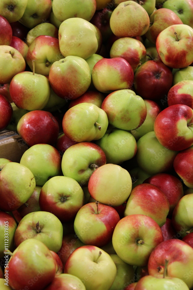 red and green apples on the market. Fresh Apples on Display. red and green apples on the market. Fresh Apples on Display.