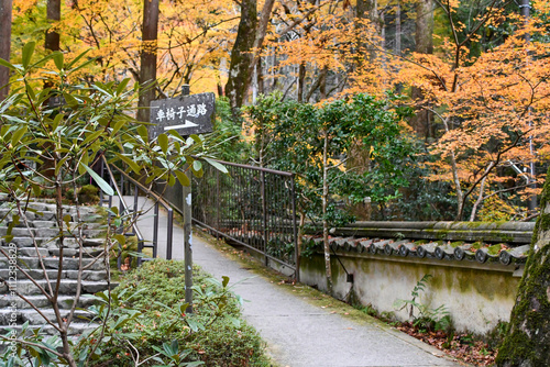 京都 大原 三千院 車椅子通路 バリアフリー photo