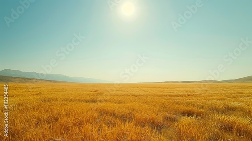 golden wheat field and sunny day