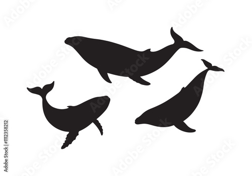 set whale silhouettes