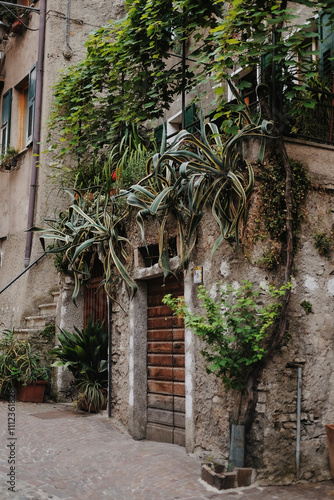 european village house with rustic stone walls, wooden door, lush greenery, and potted plants 