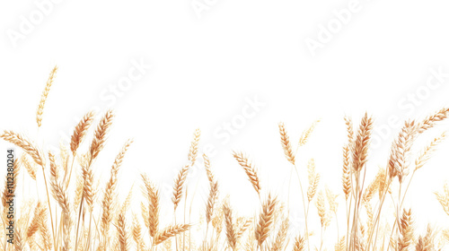 Wheat spikelet transparent background