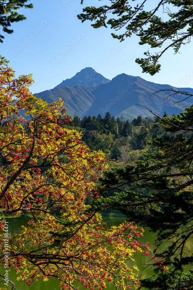 Fototapeta premium 利尻島 姫沼からの利尻山 北海道離島の絶景