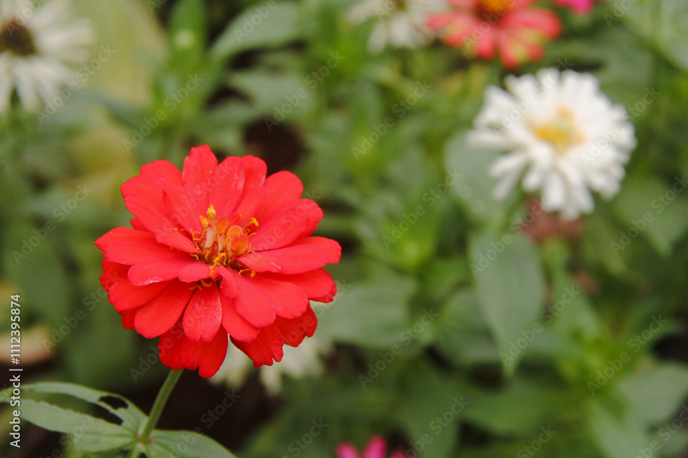 colorful paper flowers in a cool green flower garden colorful paper flowers in a cool green flower garden