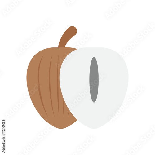 Chikoo vector icon