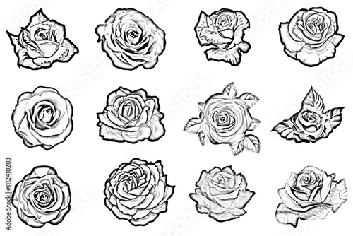 Wallpaper Mural Set of sketch roses hand drawn color set. Black line rose flowers inflorescence silhouettes isolated on white background. Icon roses collection. Vector doodle illustration, black flower vector icons. Torontodigital.ca