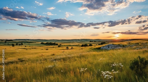 grassland prairie plants photo