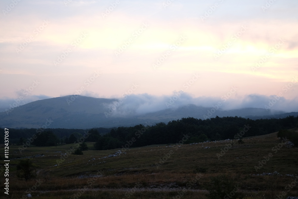 Fototapeta premium landscape in the morning