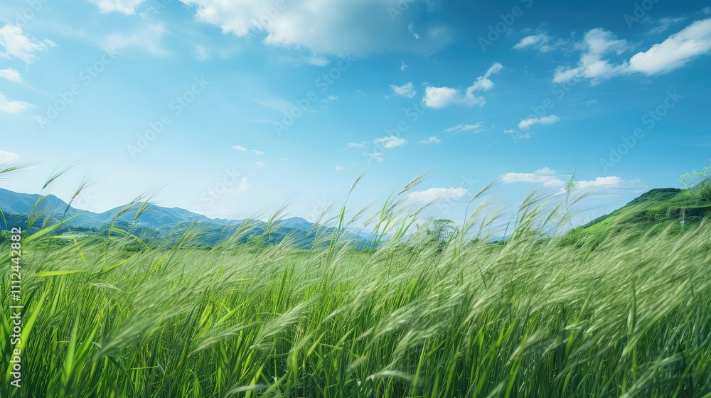 verdant green verdant green