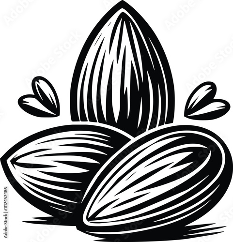 Black and White Illustration of Almond
