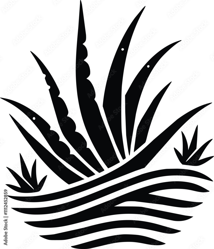 Black and White Illustration of Aloe Vera Plant Black and White Illustration of Aloe Vera Plant