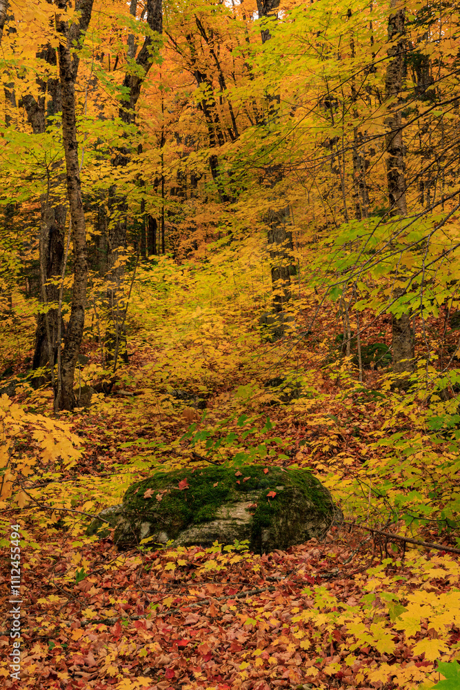 Fototapeta premium Tranquil Seat