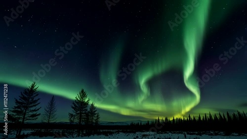 The aurora borealis appears to glow green and yellow in the dark night sky, against a backdrop of bright stars. Below him, the silhouettes of cypress trees and the snowy landscape are clearly visible.