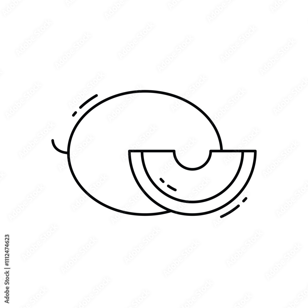 Melon vector icon
