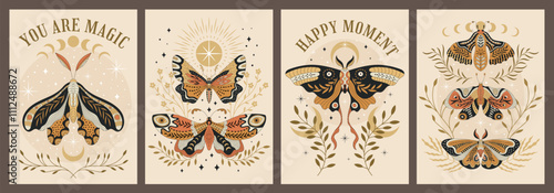 Butterfly poster. Decorative placards with beautiful flying butterfly recent vector templates with place for text