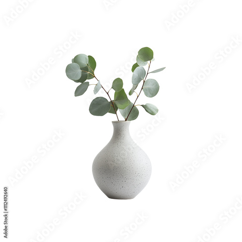 A small vase with fresh eucalyptus branches isolated on white background
