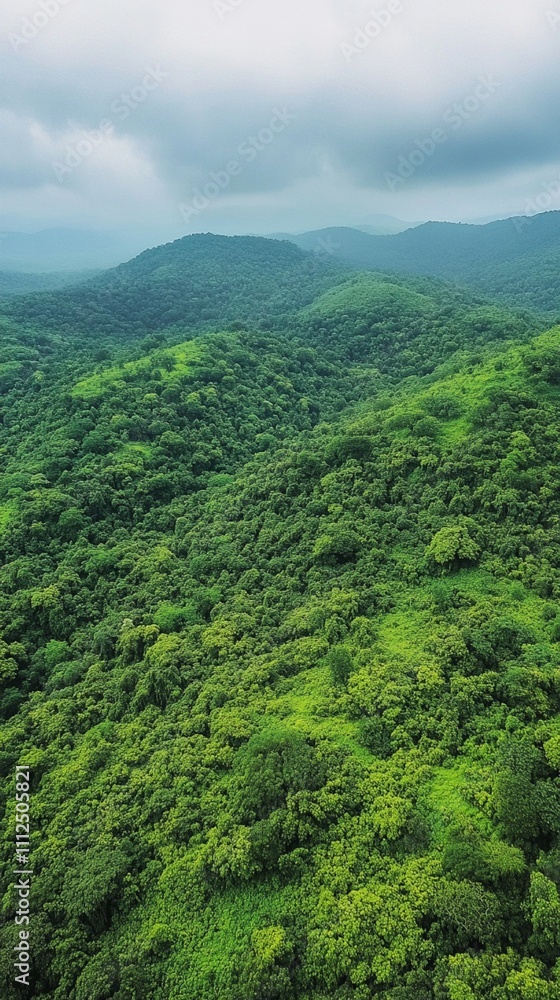 Obraz premium Lush rolling hills covered in dense green forest stretch into the distance under a cloudy sky, offering a serene and breathtaking view of untouched natural beauty and wilderness.