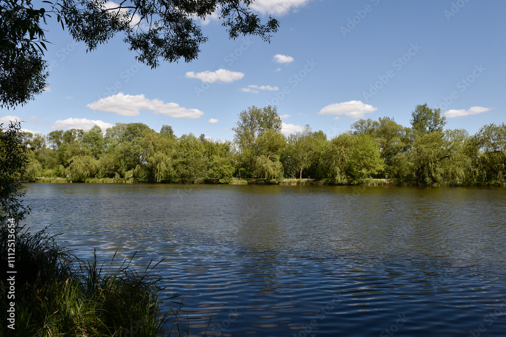 Obraz premium Summer reflections on calm ponds surrounded by lush greenery in Piaseczno