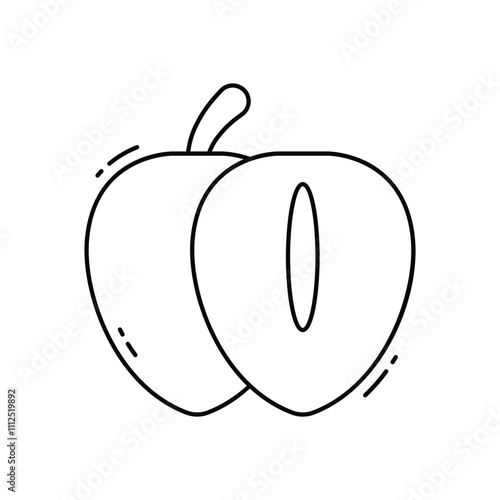 Chikoo vector icon